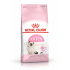 ROYAL CANIN Kitten
