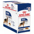 ROYAL CANIN MAXI ADULT WET FOOD
