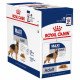 ROYAL CANIN MAXI ADULT WET FOOD
